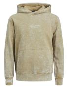 Jorvesterbro Wash Sweat Hood Aw Jnr Tops Sweatshirts & Hoodies Hoodies Beige Jack & J S