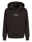 Jorvesterbro Sweat Hood Noos Jnr Tops Sweatshirts & Hoodies Hoodies Brown Jack & J S