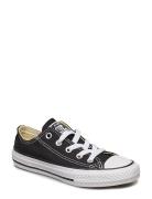 Chuck Taylor All Star Shoes Sneakers Canva Sneakers Black Converse