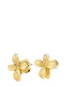 Charmaine Recycled Earrings Accessories Jewellery Earrings Studs Gold Pilgrim