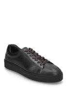 Sinny Low-top Sneakers Black Tiger Of Sweden