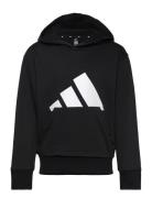 J Bl Ft Hd 280 Tops Sweatshirts & Hoodies Hoodies Black Adidas Sportswear