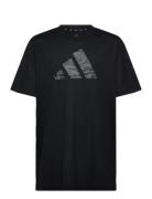 J Tr-Es Cam Te Tops T-Kortærmet Skjorte Black Adidas Sportswear