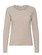 Cwamy Stripe - T-Shirt Tops T-shirts & Tops Long-sleeved Beige Claire Woman