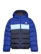 J Sd Jkt Outerwear Jackets & Coats Winter Jackets Blue Adidas Sportswear