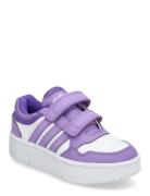 Hoops 3.0 Bold Cf C Sport Sneakers Low-top Sneakers Purple Adidas Sportswear