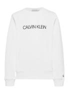 Institutional Logo Sweatshirt Tops Sweatshirts & Hoodies Sweatshirts White Calvin Klein