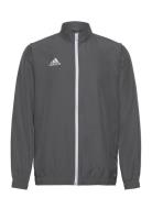 Ent22 Pre Jkt Outerwear Sport Jackets Grey Adidas Performance