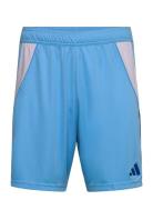 Tiro24 Sho Sport Men Sport Clothing Sport Shorts Sport Training Shorts Blue Adidas Performance