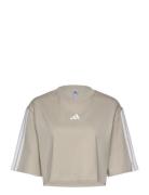 W 3S Sj Tlr T Sport Sport Clothing Sports Tops & T-shirts Sport T-Skjorte Cream Adidas Sportswear