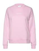 W Lin Ft Swt Sport Sport Clothing Sport Sweatshirts & Hoodies Sport Sweatshirts Pink Adidas Sportswear