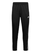 Tr-Es Base 3Pt Sport Men Sport Clothing Sport Pants Sport Sweatpants Black Adidas Performance