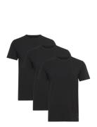 Basic 3 Pack T-Shirt Tops T-Kortærmet Skjorte Black Lyle & Scott