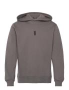 Regular Fit Hoodie Tops Sweatshirts & Hoodies Hoodies Grey HAN Kjøbenhavn