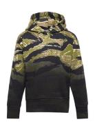 Salbytigercam Over Sweat-Shirt Tops Sweatshirts & Hoodies Hoodies Green Diesel