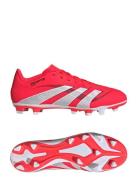 Predator Club Fg/Mg Sport Men Sport Shoes Sport Football Boots Red Adidas Performance