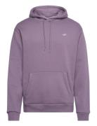 Hco. Guys Sweatshirts Tops Sweatshirts & Hoodies Hoodies Purple Hollister