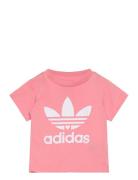 Short Tee Set Sets Sets With Short-sleeved T-shirt Pink Adidas Originals
