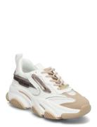 Possession-E Sneaker Low-top Sneakers White Steve Madden