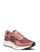 New Balance Freshfoam Arishi V4 Sport Sport Shoes Sport Running Shoes Pink New Balance