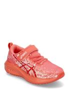 Pre Noosa Tri 16 Ps Shoes Sports Shoes Running-training Shoes Coral Asics