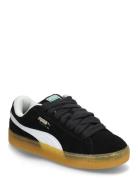 Suede Xl Dark Risk Sport Sport Shoes Sport Sneakers Sport Low Top Sneakers Black PUMA