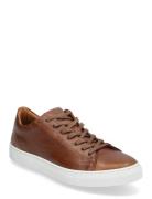 Classic Lt  Low-top Sneakers Brown Björn Borg