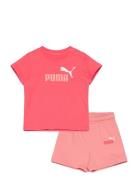 Minicats Ess Tee And Shorts Set Inf Sets Sets With Short-sleeved T-shirt Pink PUMA