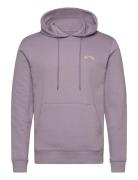 Arch Po Lt Sport Sport Clothing Sport Sweatshirts & Hoodies Sport Hoodies Purple Billabong