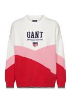 D2. Retro Sheild Knit C-Neck Tops Knitwear Jumpers Multi/patterned GANT