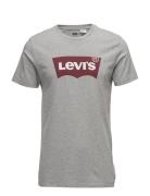 Graphic Setin Neck Graphic H21 Tops T-Kortærmet Skjorte Grey Levi's®