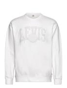 Relaxd Graphic Crew Tonal Athl Tops Sweatshirts & Hoodies Sweatshirts White Levi's®
