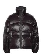 Retro Puffer Caviar Foret Jakke Black Levi's®