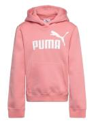 Ess No. 1 Logo Hoodie Fl G Sport Sweatshirts & Hoodies Hoodies Pink PUMA
