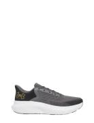 Ua Charged Rogue 5 Sport Men Sport Shoes Sport Running Shoes Grey Under Armour