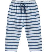 Molo Bukser - Saxon - Lagoa stripe