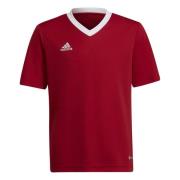 adidas Trænings T-Shirt Entrada 22 - Rød/Hvid Børn