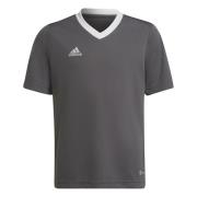 adidas Trænings T-Shirt Entrada 22 - Grå/Hvid Børn