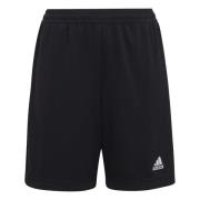 adidas Træningsshorts Entrada 22 - Sort Børn