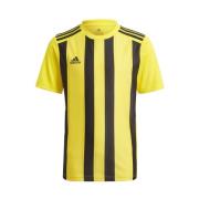 adidas Spilletrøje Striped 21 - Gul/Sort Børn