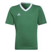 adidas Trænings T-Shirt Entrada 22 - Grøn/Hvid Børn