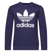 adidas Originals Sweatshirt Crewneck Adicolor Classics Trefoil - Blå/Hvid Børn