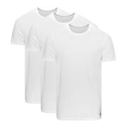adidas T-Shirt Crewneck 3-Pak - Hvid