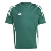 adidas Trænings T-Shirt Tiro 24 - Grøn/Hvid Børn